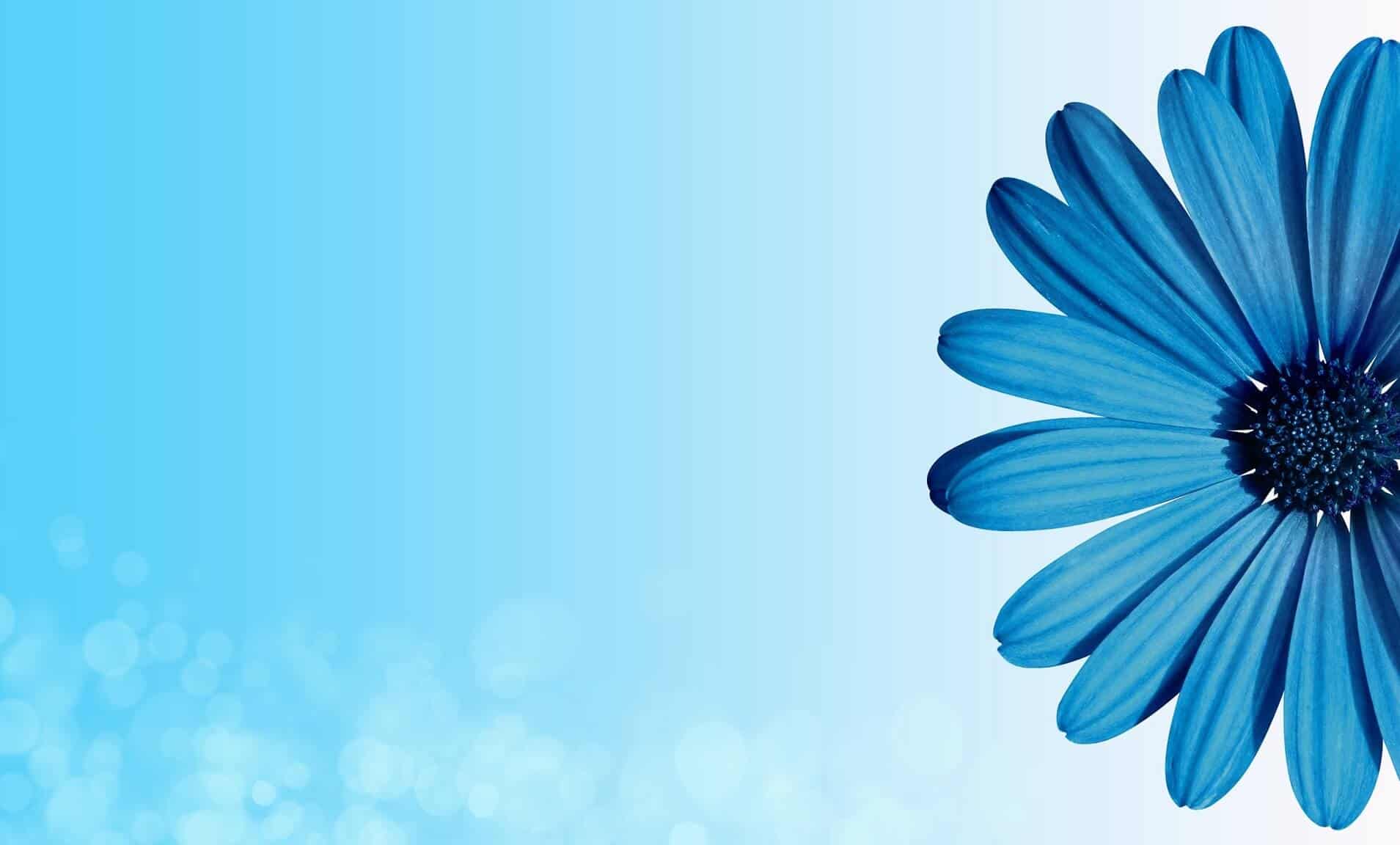 - Atlant Health - Chiropractic and Functional Medicine - Blog