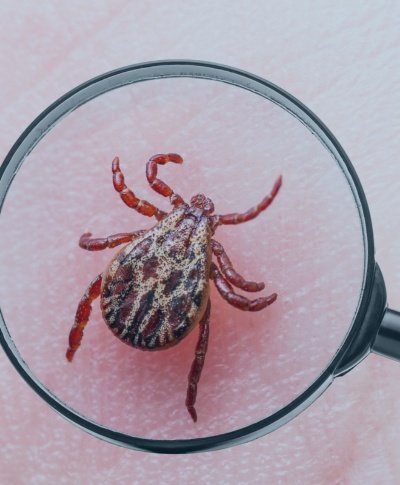 Lyme disease and functional medicine treatment in New York City