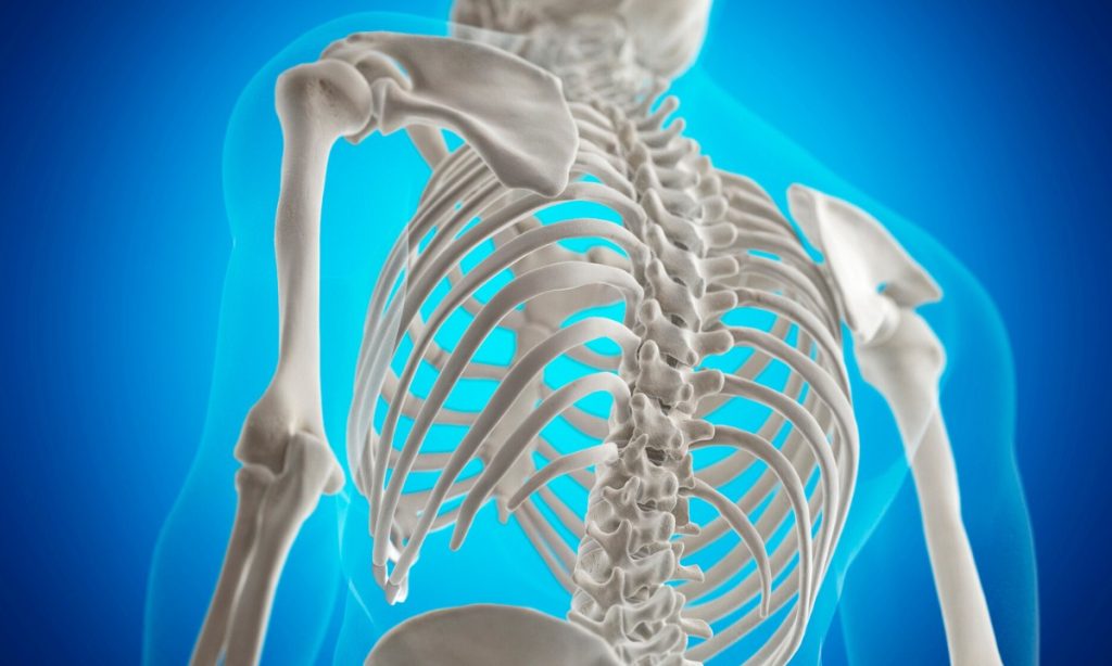 Chiropractic Care and Nutrition The Link Between Nutrition and Spinal Health
