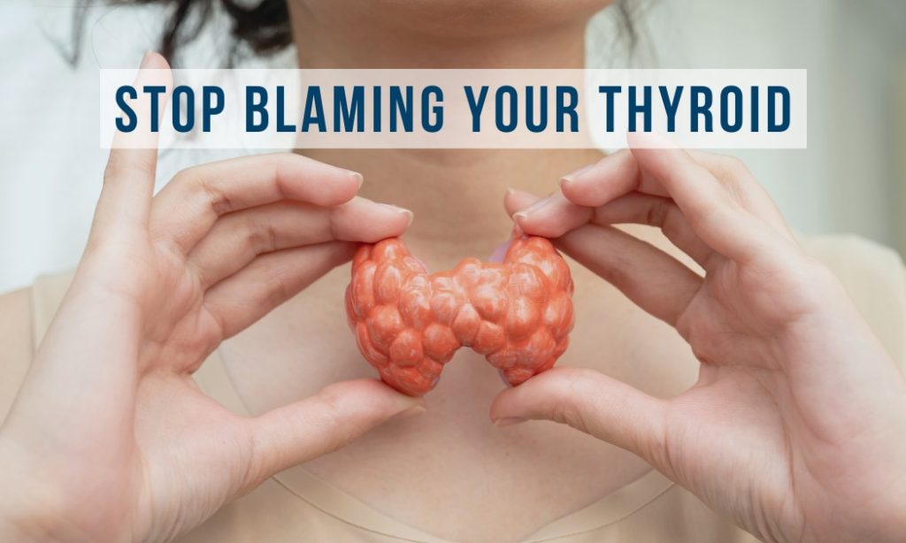 STOP BLAMING YOUR THYROID - identify other problems that drive it's poor function