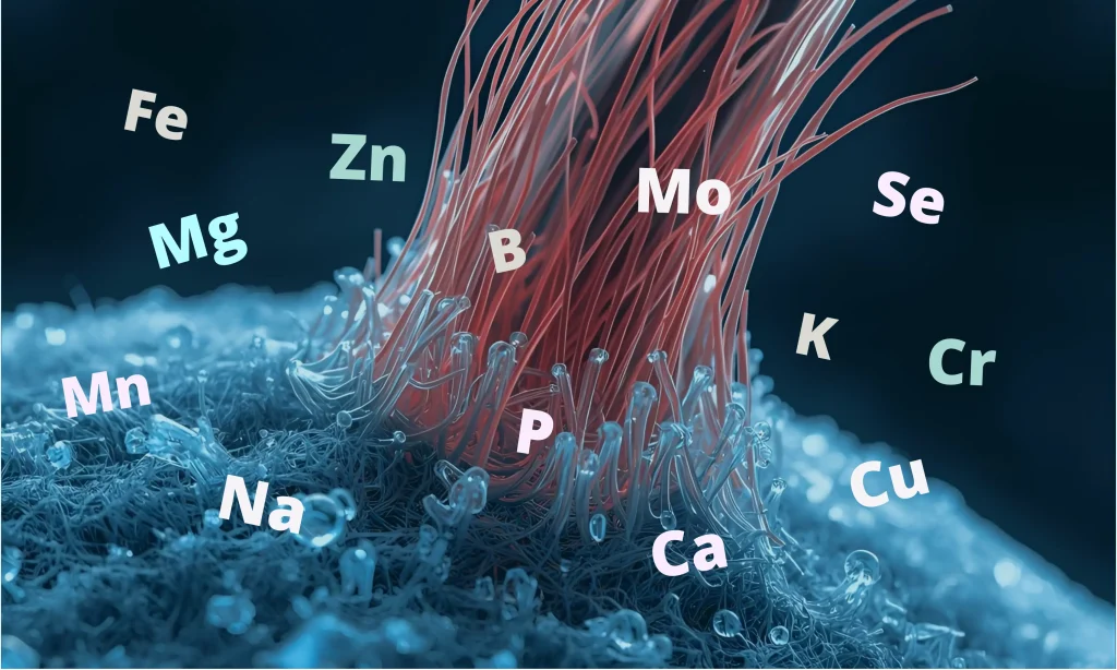 Curious about Hair Tissue Mineral Analysis (HTMA)? Learn how this gentle test measures minerals and toxic metals, and how we use it in NYC to guide functional medicine care.